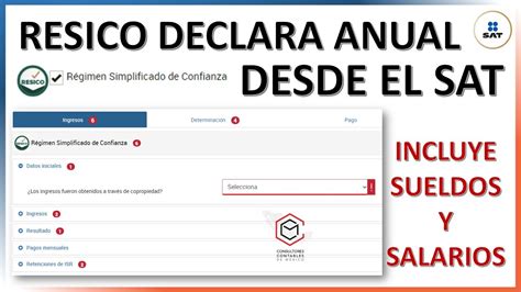 sat declaración anual resico